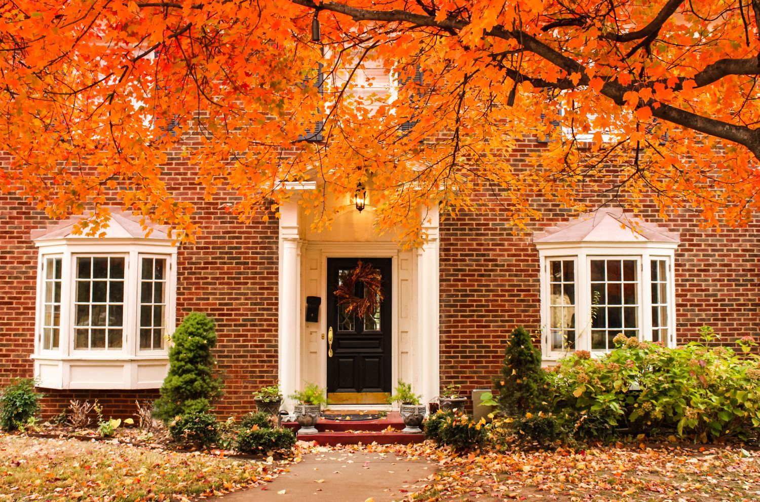 Autumn Glow Up – Five ways to get your property ready to sell this Autumn. - DNG Estate Agents