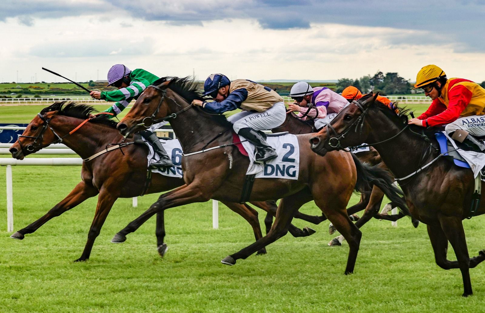 DNG sponsor the DNG Spring Fillies Handicap at the Tattersalls Irish Guineas Festival - DNG Estate Agents