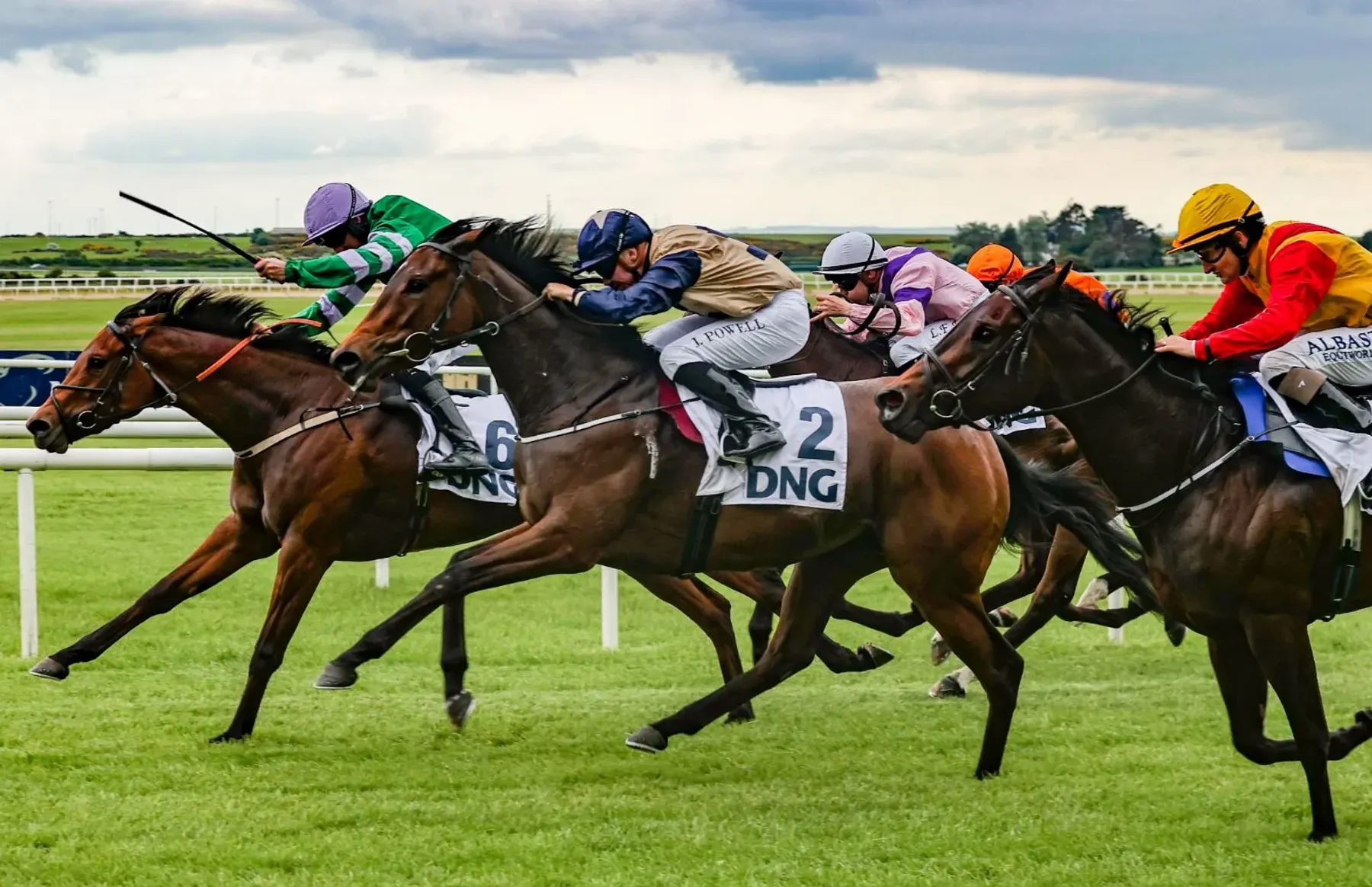 DNG sponsor the DNG Spring Fillies Handicap at the Tattersalls Irish Guineas Festival - DNG Estate Agents
