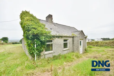Laccamore, Kilflynn, County Kerry. V92 YA43 -  DNG