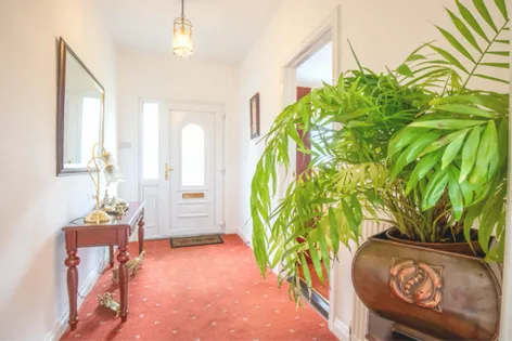 Clone West, Monamolin -  DNG