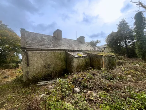Derrykinlough, Kiltimagh, Co. Mayo -  DNG