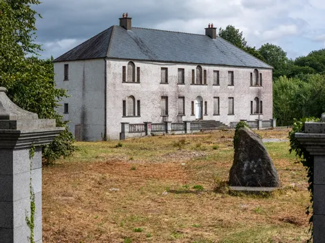 Syngefield House, Clonoghill Upper, Birr, Co. Offaly - DNG