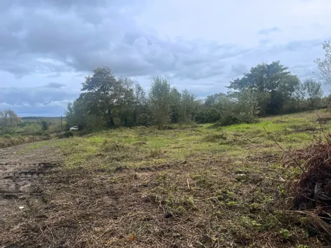 Derrykinlough, Kiltimagh, Co. Mayo -  DNG