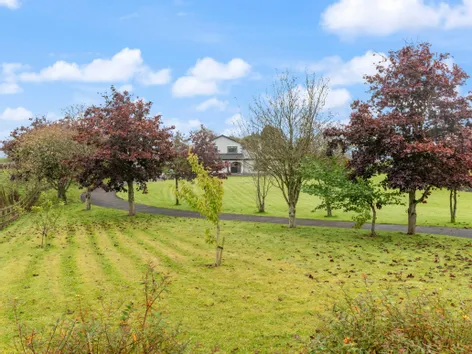 Shanagolden House, Knocknahur North, Ransboro, Co. Sligo, F91 RR96 -  DNG