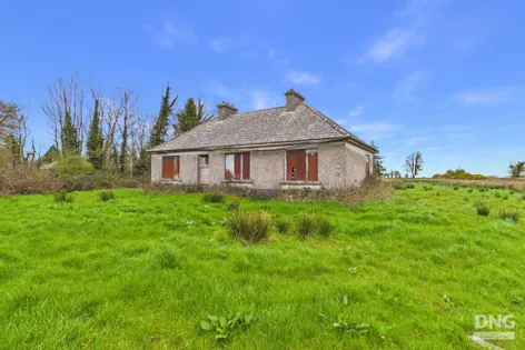 Derelict Residence on c. 14.40 Acres, Derryvode, Williamstown, Co. Galway -  DNG