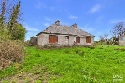 Derelict Residence on c. 14.40 Acres, Derryvode, Williamstown, Co. Galway -  DNG