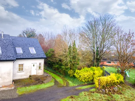 Belass, Foxford, Co Mayo F26E300 -  DNG