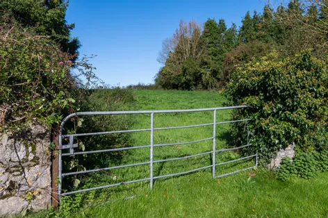 The Schoolhouse, Fairgreen, Ferbane, Co. Offaly - DNG