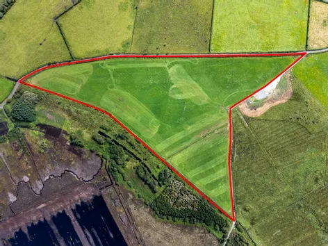 Lands of c. 25.50 Acres at Derryharney, Belmont, Co. Offaly -  DNG
