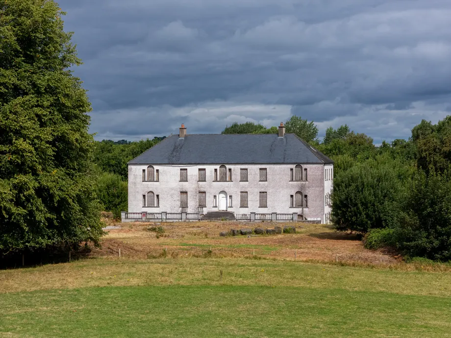 Syngefield House, Clonoghill Upper, Birr, Co. Offaly - DNG Estate Agents