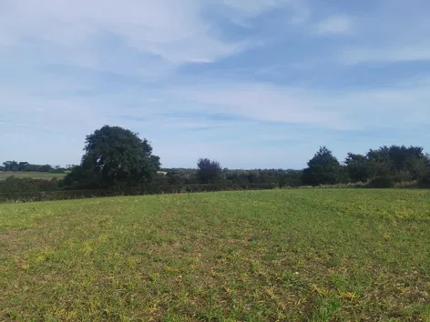 Ballyfarnoge, Screen, Co. Wexford -  DNG