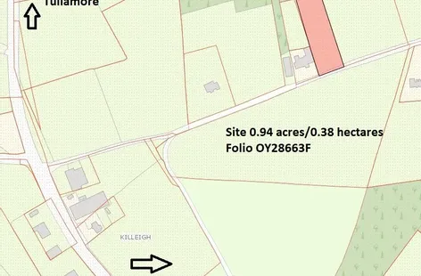 Burnetts Wood, Killeigh, Co. Offaly - DNG