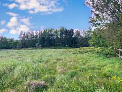 Site 1, Ballyboggan, Park, Wexford Town, Y35XY01 -  DNG