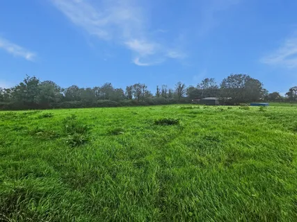 Circa 1.5 Acre Site, Cliften, Corofin, Co. Clare - DNG