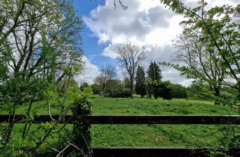 Ballyogan Land, Barefield, Ennis, Co. Clare -  DNG