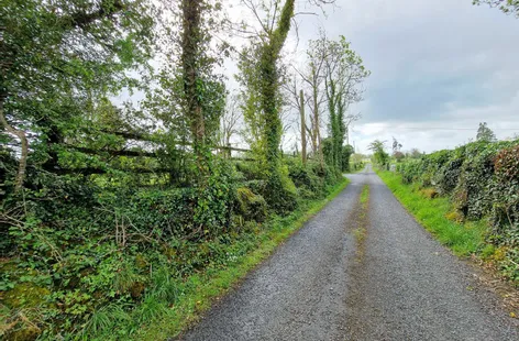Ballyogan Land, Barefield, Ennis, Co. Clare -  DNG