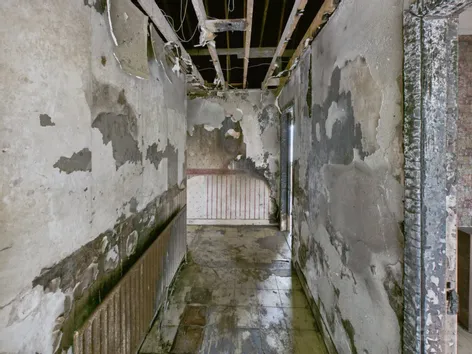 Killurin, Tullamore, Co Offaly, R35A384 -  DNG