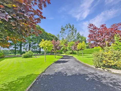 Urlanmore, Newmarket On Fergus, Co. Clare, V95VP30 -  DNG