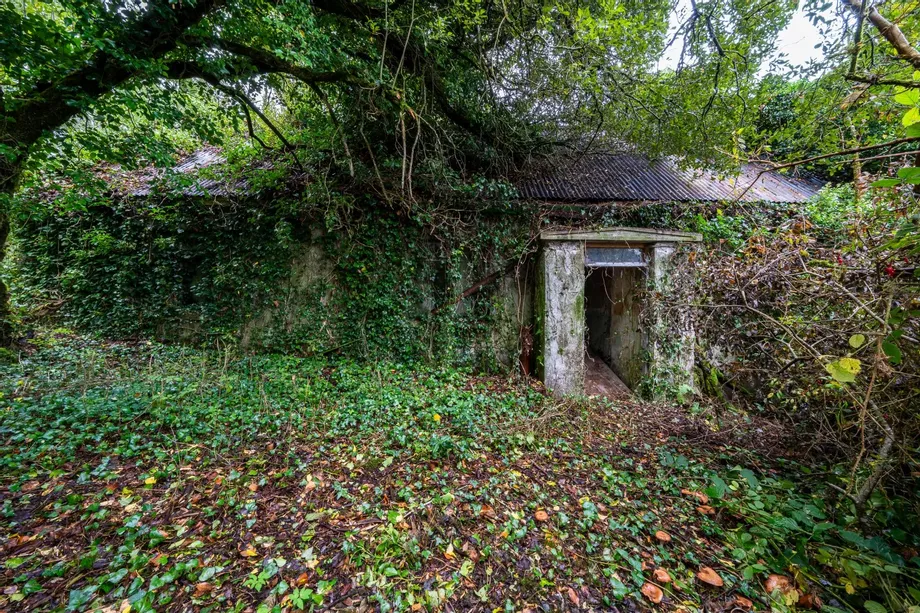Aughnaglace, Cloone, Co. Leitrim, Eircode Next Door, N41DE09 - DNG Estate Agents