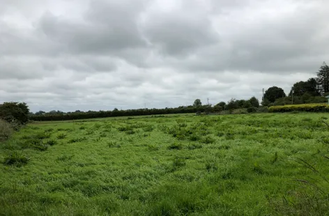 Burrish, Irishtown, Mayo -  DNG