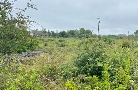 Poll na bPeist, Moycullen, Galway -  DNG