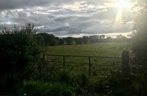 Gortbeg, Ballygluinin, Abbeyknockmoy, Galway - DNG