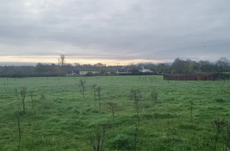 2 x 3.5 acres Sites SPP, Palatine, Carlow -  DNG