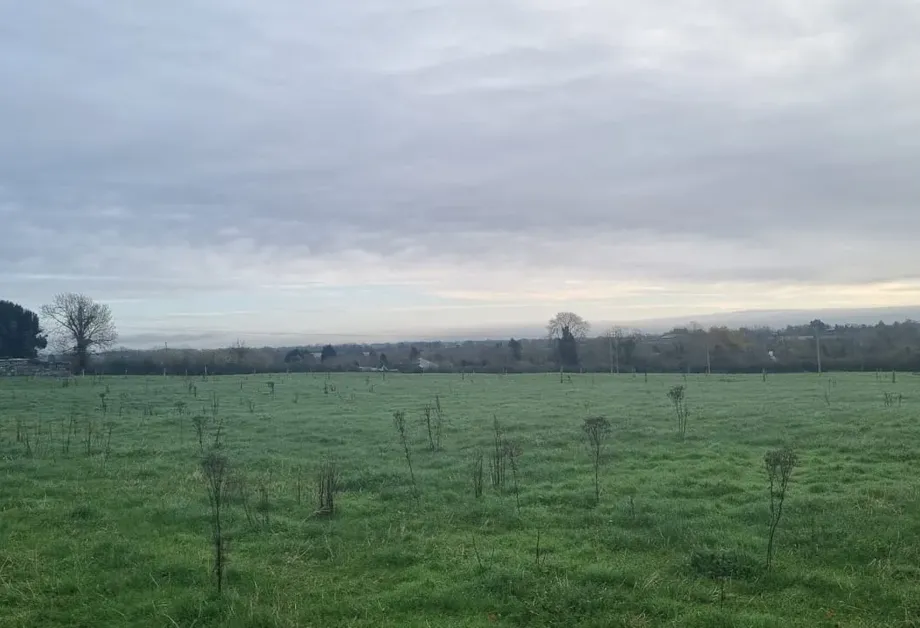 2 x 3.5 acres Sites SPP, Palatine, Carlow - DNG Estate Agents