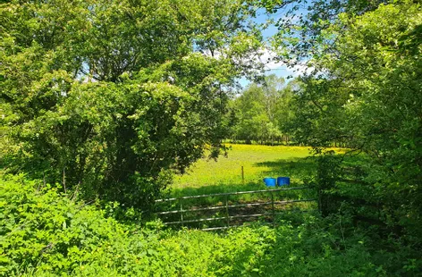 Rathmore, Carbury, Kildare -  DNG
