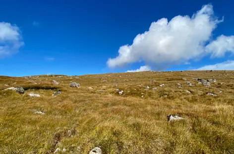 Clooshgereen, Oughterard, Galway - DNG