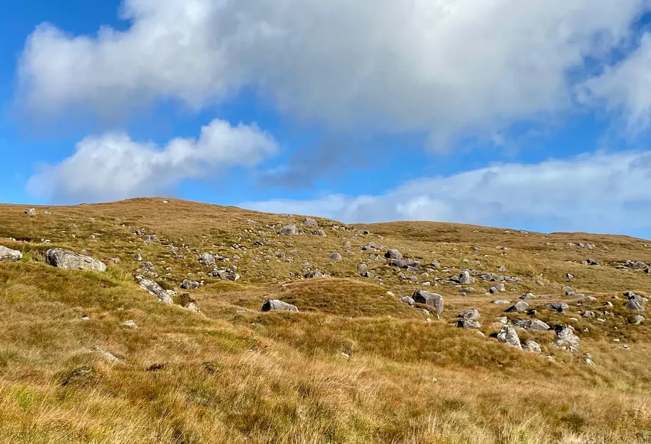 Clooshgereen, Oughterard, Galway - DNG Estate Agents