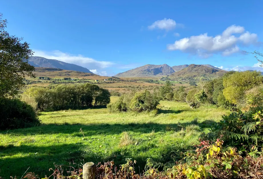 Lot 3 Maam, Maam Cross, Galway - DNG Estate Agents