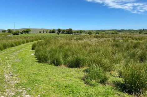 Land & Commonage at Rusheeny, Oughterard, Galway - DNG