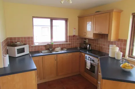 No. 9 Willow Wood, Faithlegg, Waterford -  DNG