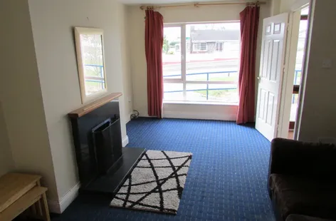 No. 8 Crystal Mews, Ballinaneashagh, Cork Road, Waterford -  DNG