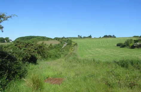 Kilmacomb, Gaultier, Dunmore East, Waterford -  DNG