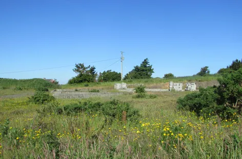 Kilmacomb, Gaultier, Dunmore East, Waterford -  DNG