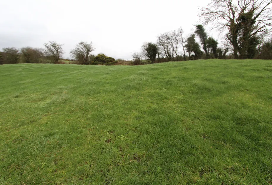 Aughnamullen, Latton, Castleblayney, Monaghan - DNG Estate Agents