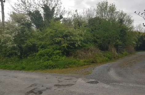 Ballinahalla, Moycullen, Galway -  DNG