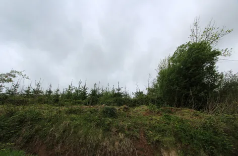 Tonycoogan, Emyvale, Monaghan -  DNG