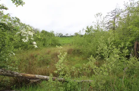 Tonycoogan, Emyvale, Monaghan -  DNG