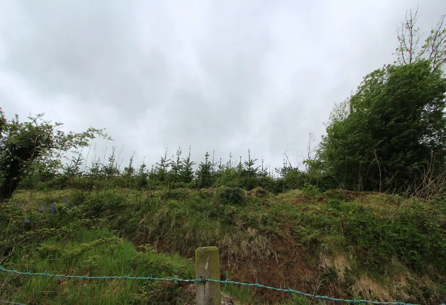 Tonycoogan, Emyvale, Monaghan - DNG Estate Agents