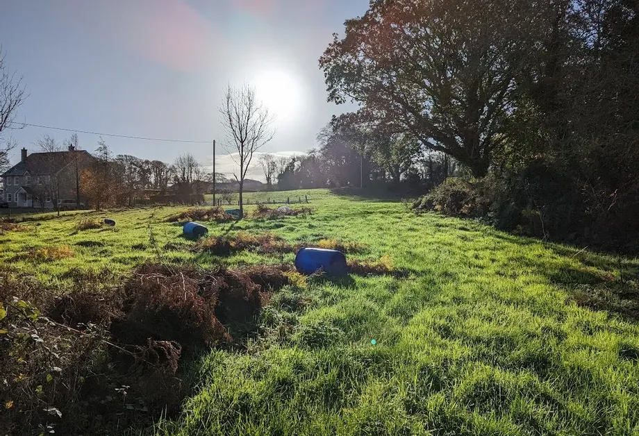 Newtown, Nenagh, Co Tipperary - DNG Estate Agents