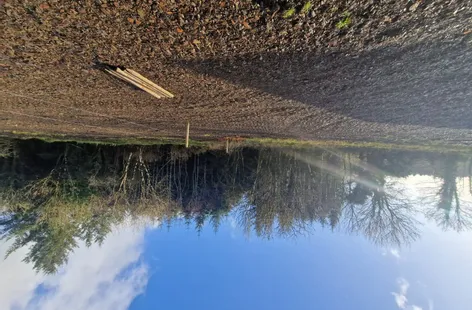 Keelnahulla, Boherbue, P51W5T3 -  DNG