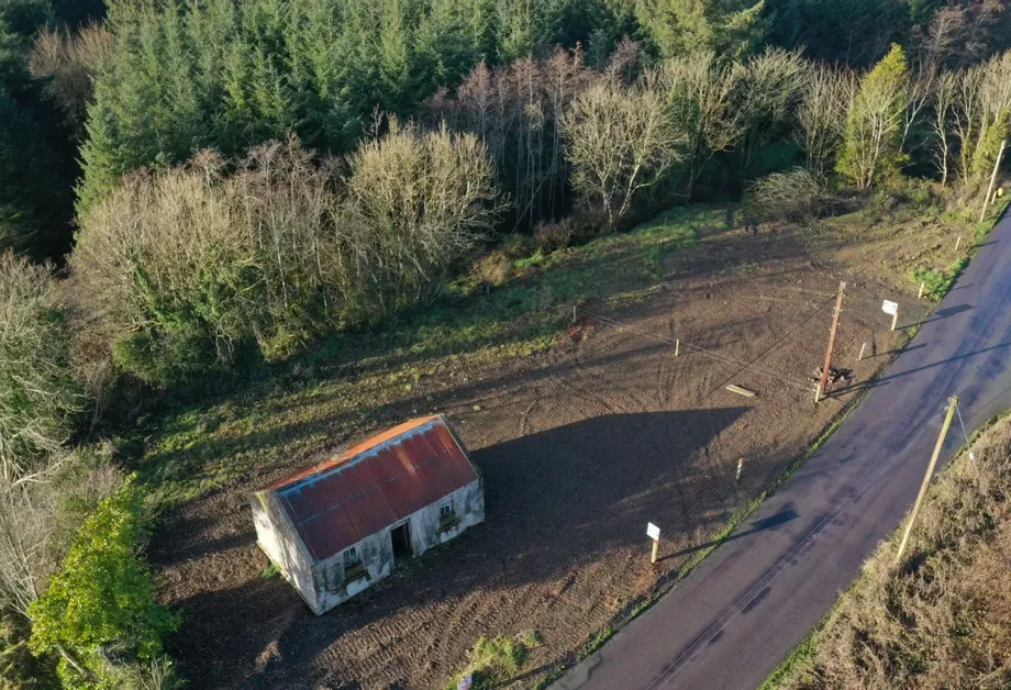 Keelnahulla, Boherbue, P51W5T3 - DNG Estate Agents