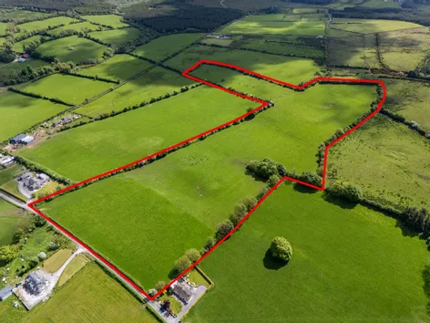 Sheskin, Cadamstown, Co. Offaly -  DNG