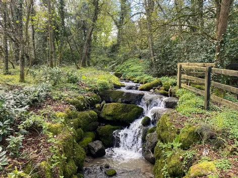 Carrigatna, Kilmoganny, Co. Kilkenny, R95 -  DNG