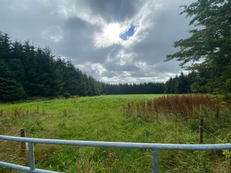 Site c. 2.27 Acres Glenpipe, Tullogher, Kilkenny -  DNG