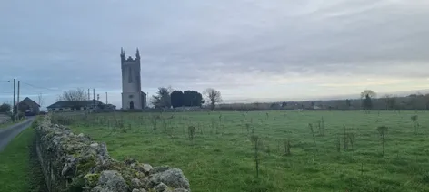 1 x 3.5 acres Sites SPP, Palatine, Co. Carlow, R93N7D2 -  DNG